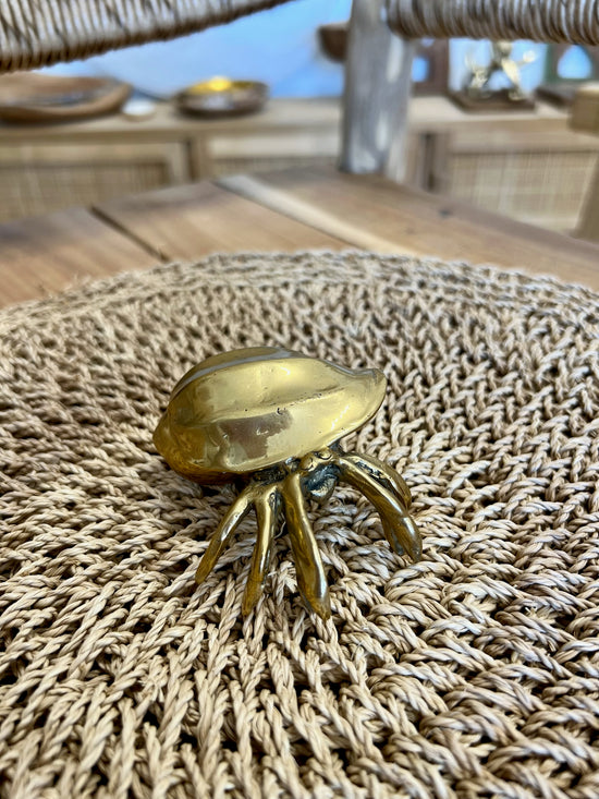 Brass hermit crab