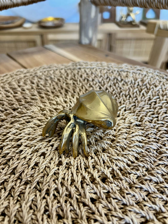 Brass hermit crab