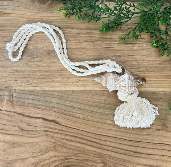 Shell wall hanging